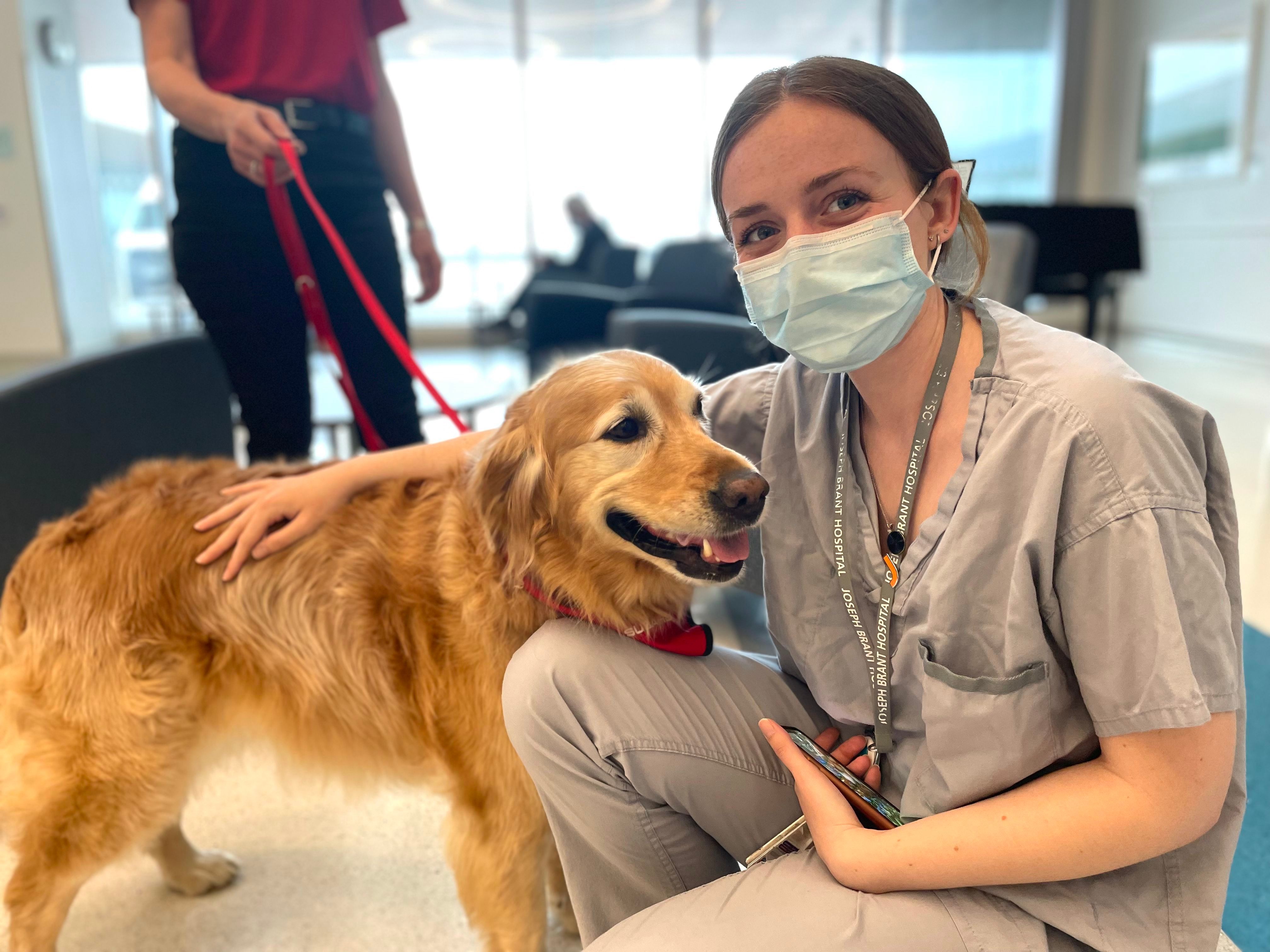 healthcare worker crouching with golden retriever therapy dog.